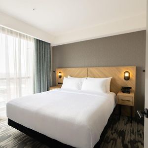 Standard Suite 1 King Bed Kitchen